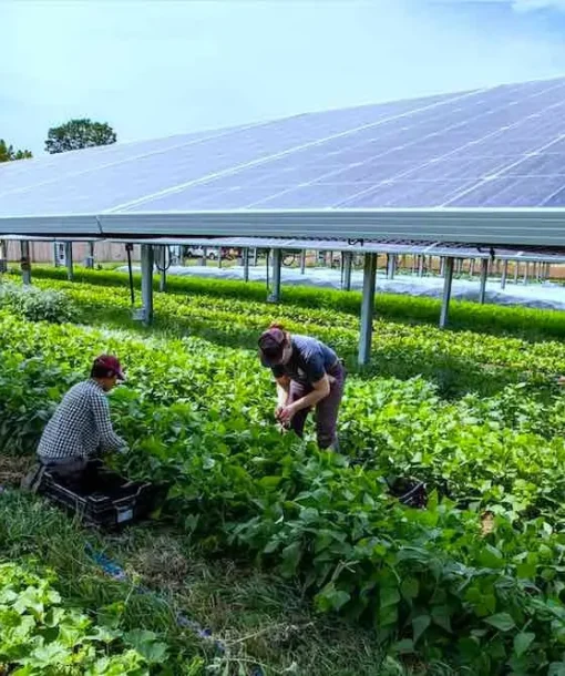Solar Agri